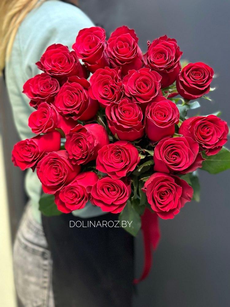 Bouquet of roses "Dream"