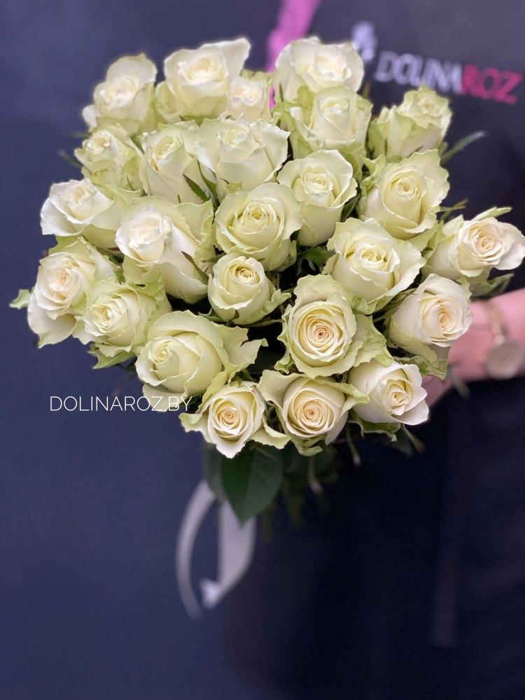 Bouquet of roses "Athena 25"