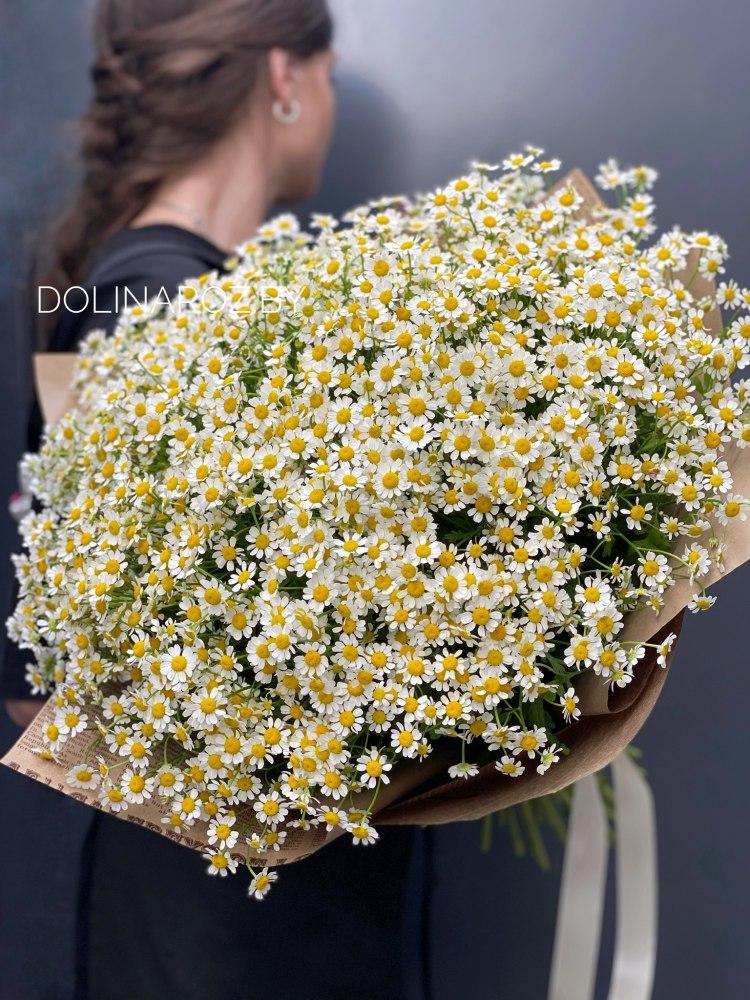 Bouquet of daisies "Melissa"