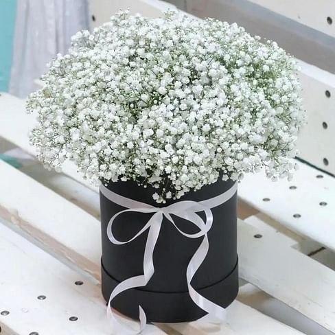 Box of gypsophila "White in black"