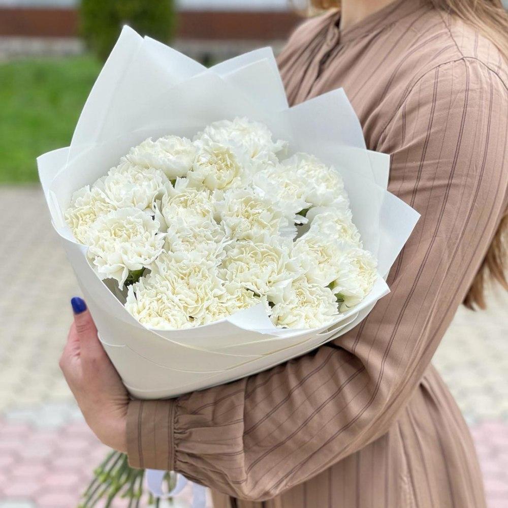 White carnation (dianthus)