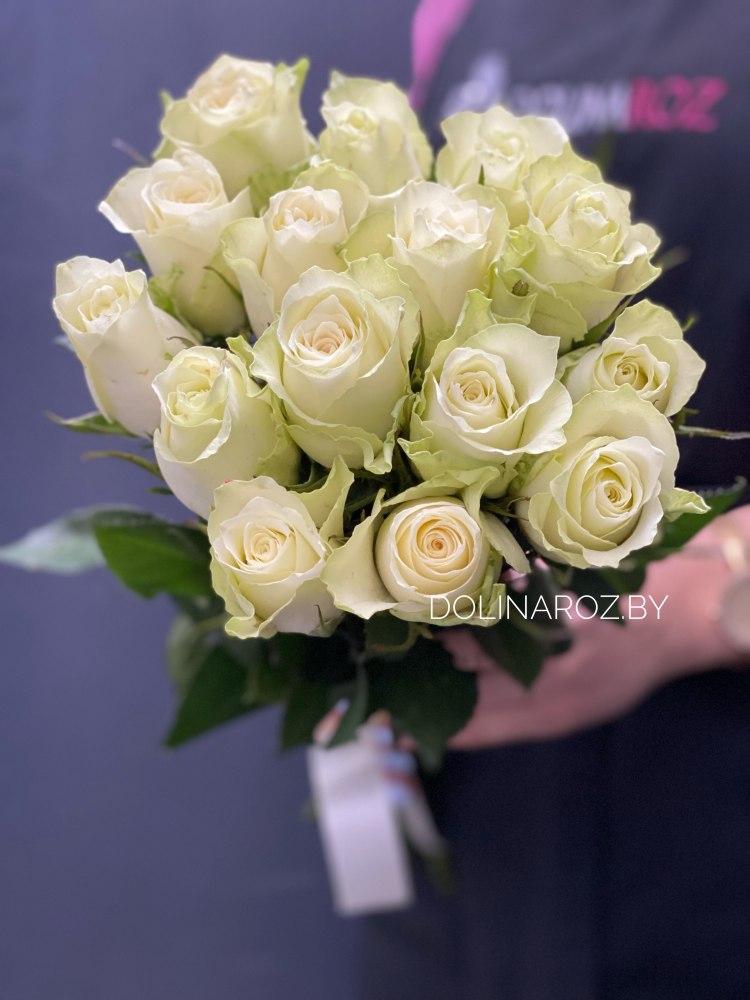 Bouquet of roses "Athena 15"