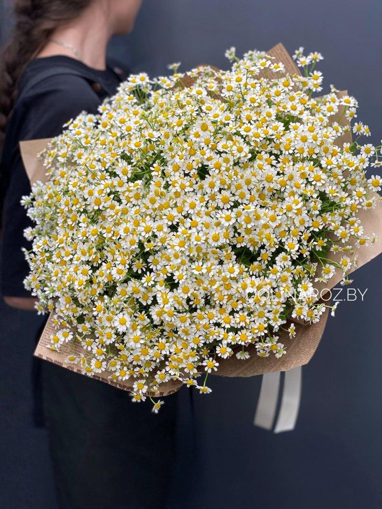 Bouquet of daisies "Melissa"