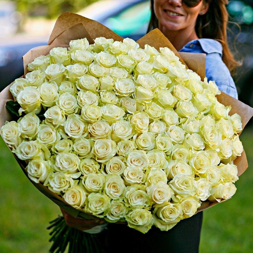 Роза Атена (Athena) Кения