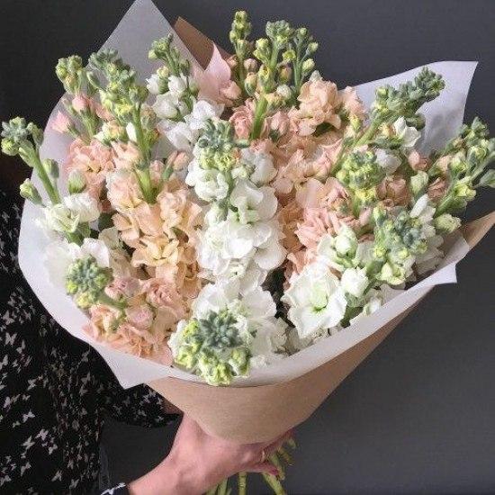 Bouquet of matthiola "Vivienne"