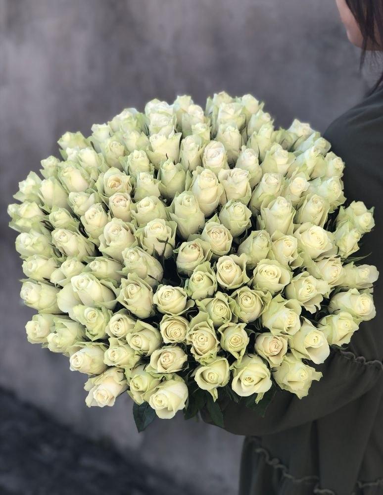 Роза Атена (Athena) Кения