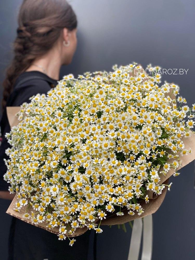 Bouquet of daisies "Melissa"