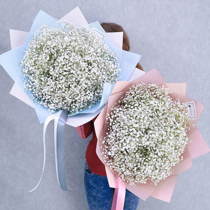 Bouquet of gypsophila "Thierry"