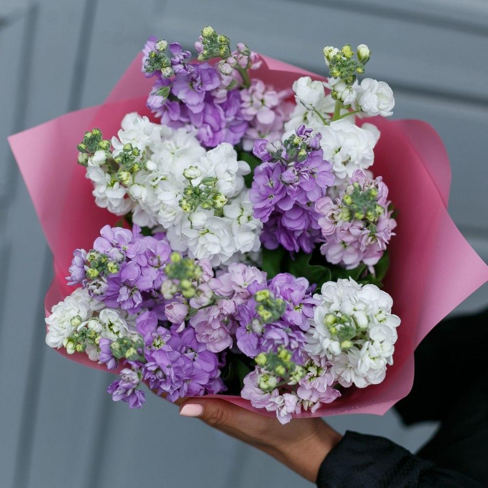 Bouquet of Mattiola "Grace"