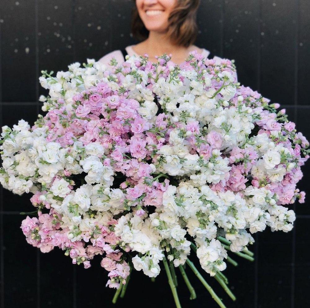 Bouquet of matthiola "Duffy"