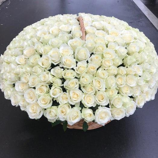 Basket "201 white roses"