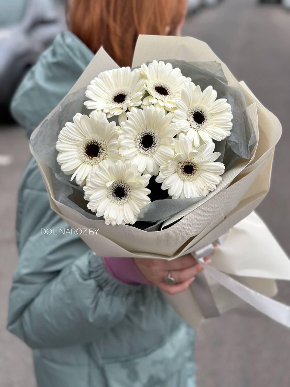 Bouquet of gerbera "White powder"