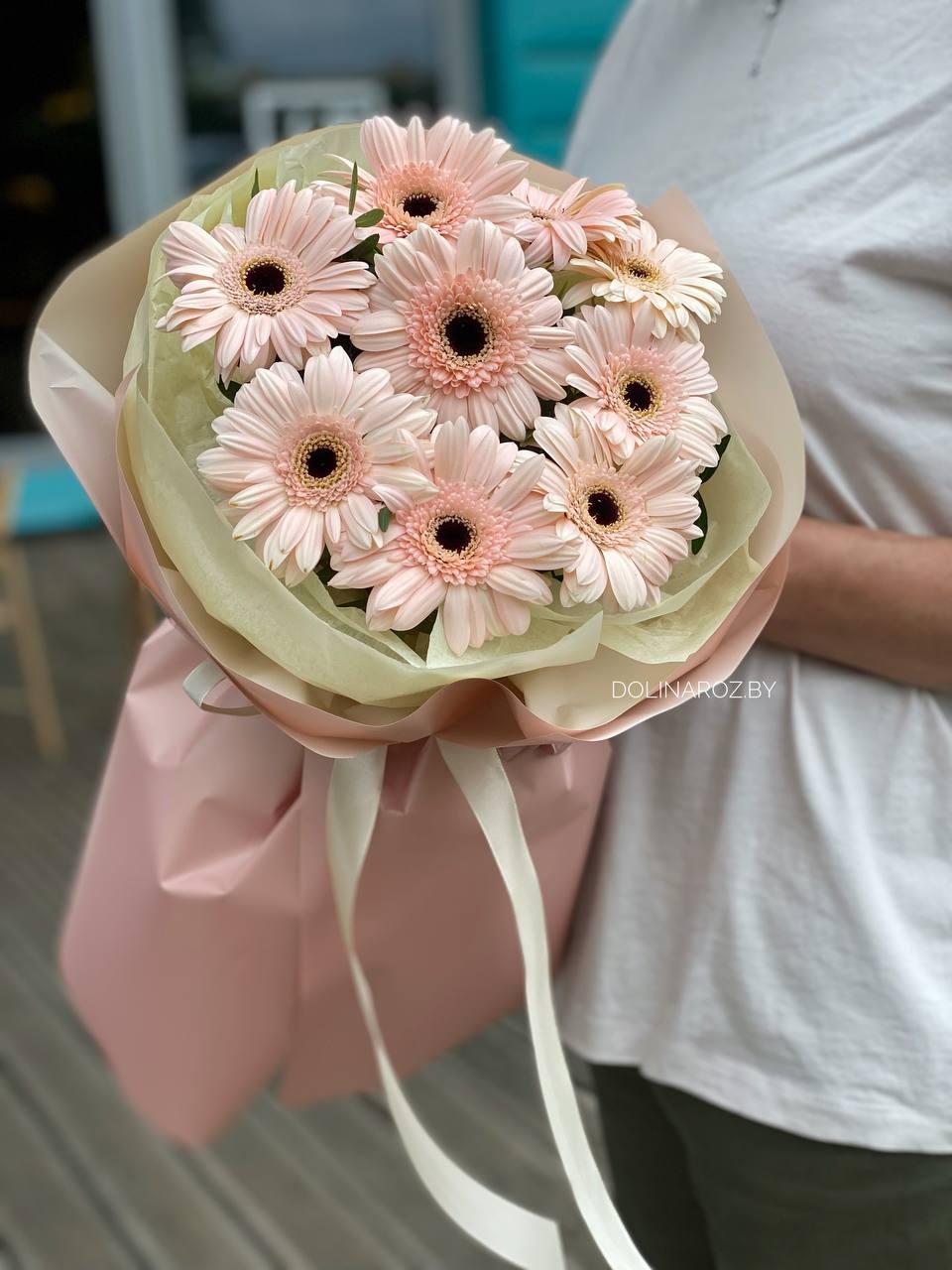 Bouquet gerbera "Gift"