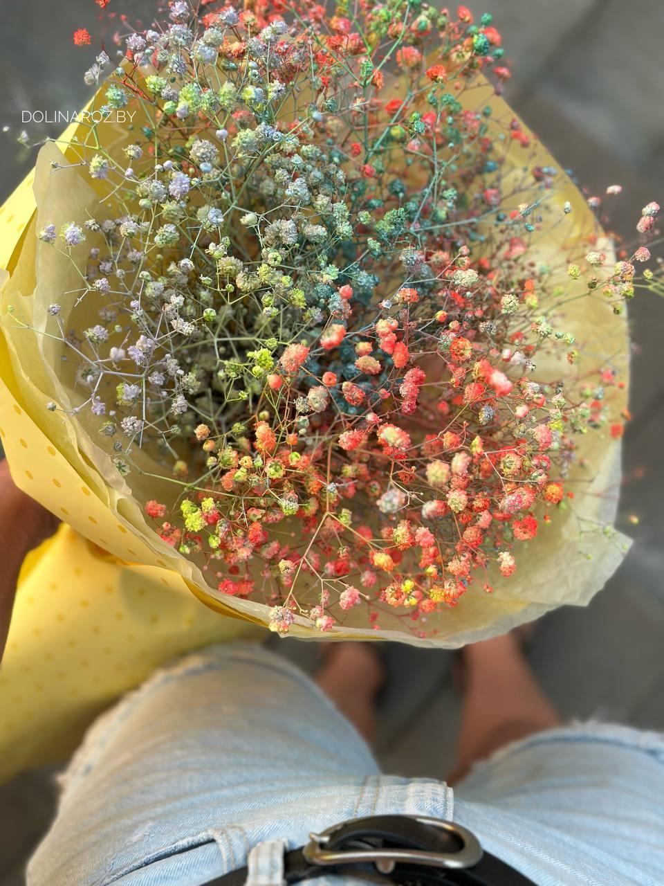 Bouquet of gypsophila "Colored peas"
