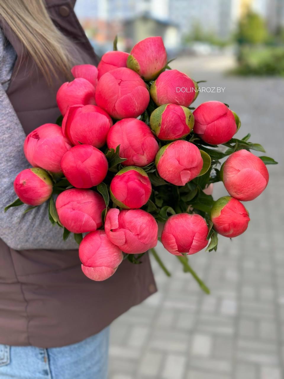 Пион Корал Шарм (Корал Сансет)