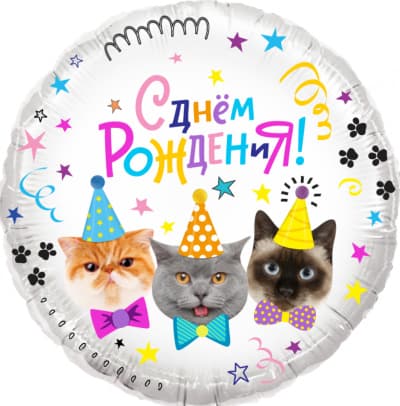 Фольгированный шар "Круг, Котики, С Днем Рождения!"