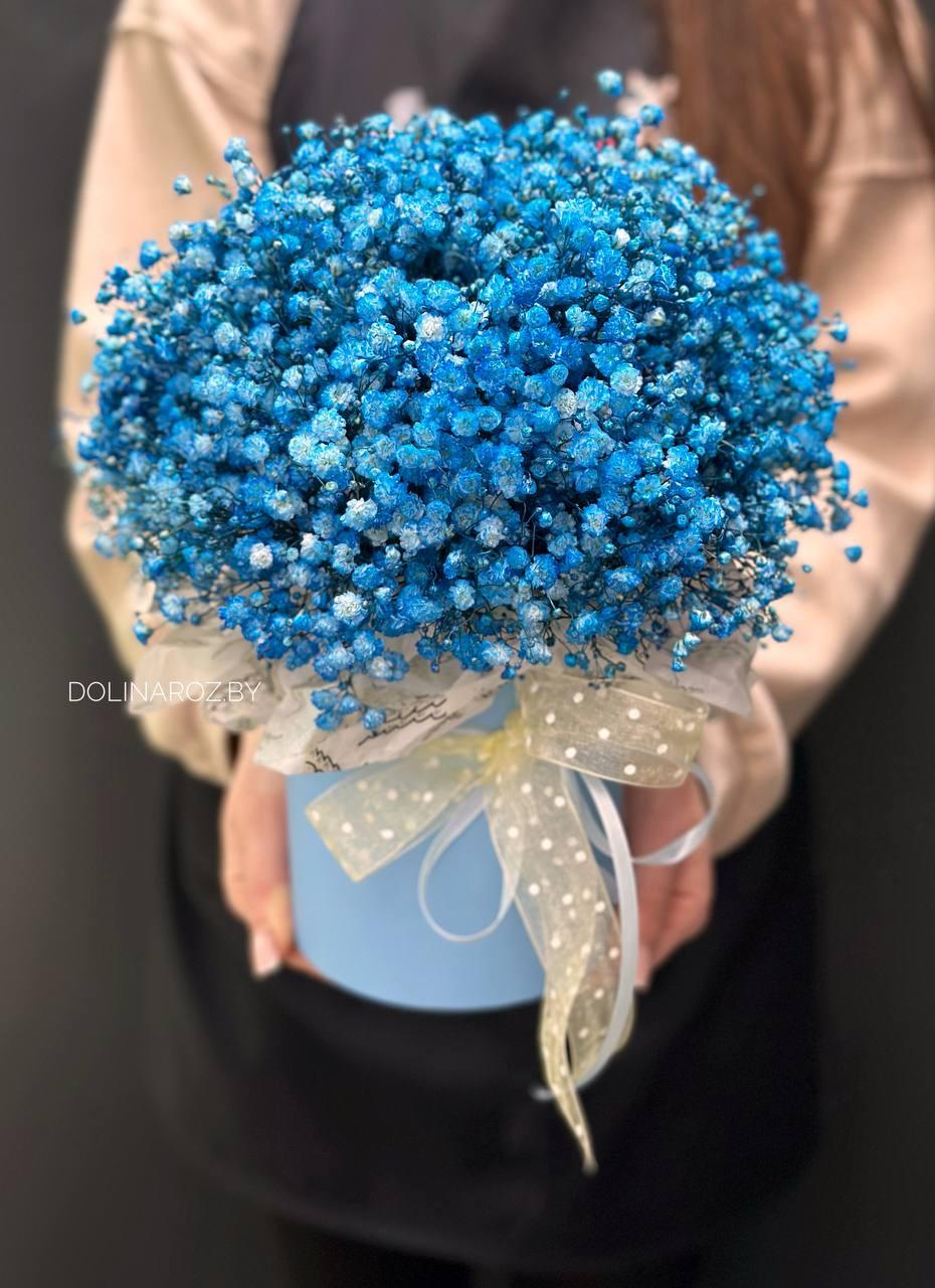 Box of gypsophila "Blue"