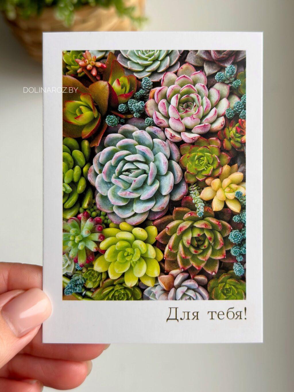 Photo card "For you! Succulents"