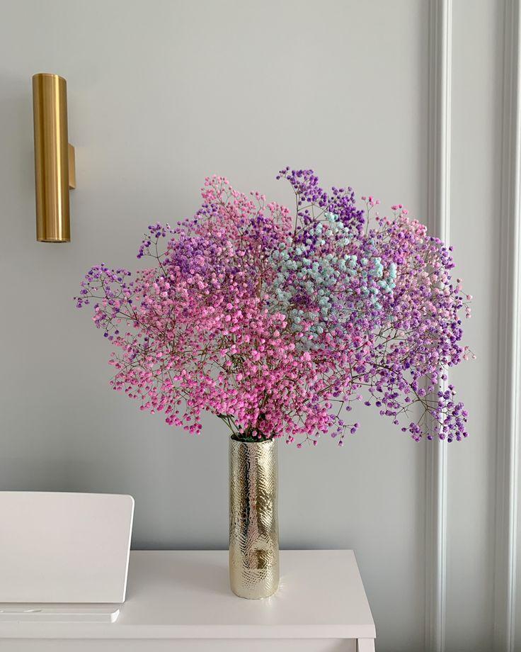 Gypsophila is colored