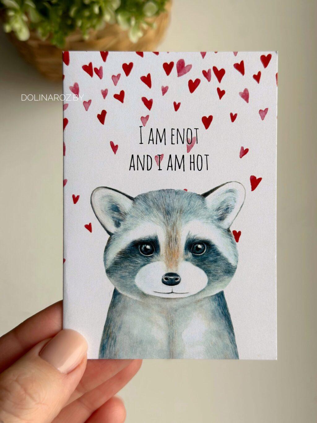 Postcard "Hot Raccoon"