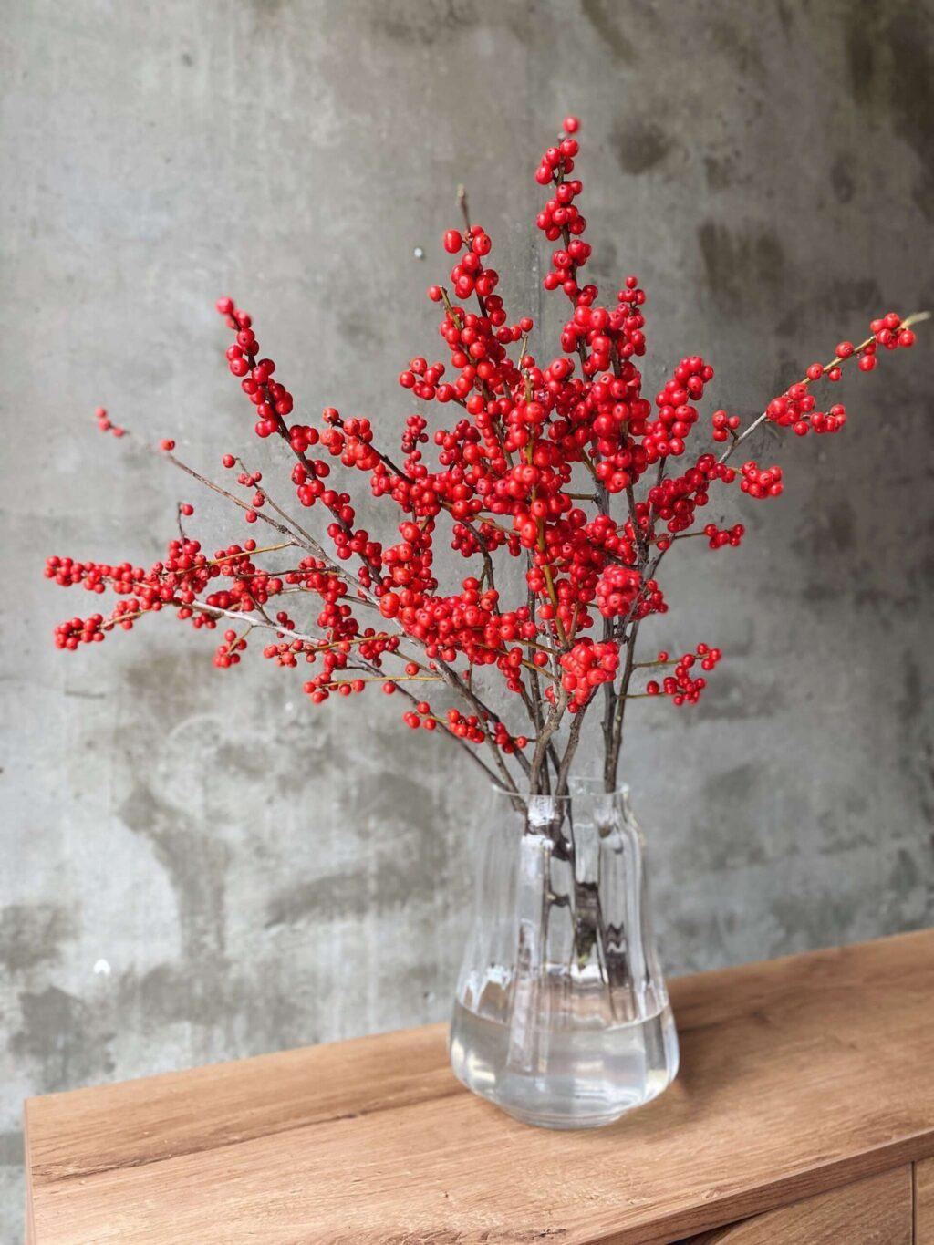 Ilex red