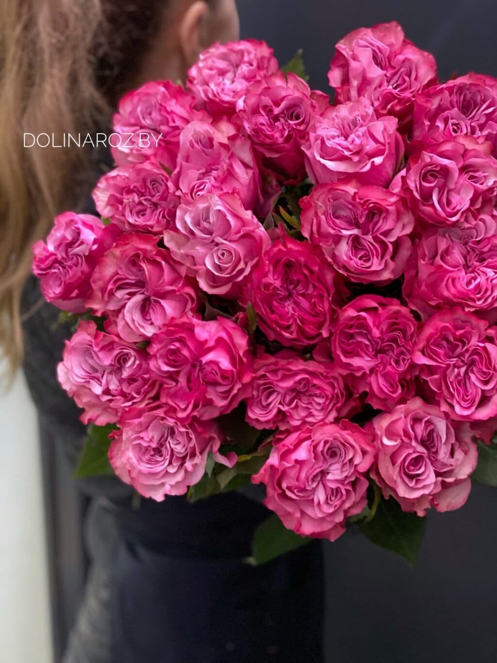 Rosa Country Blues Ecuador | DolinaRoz