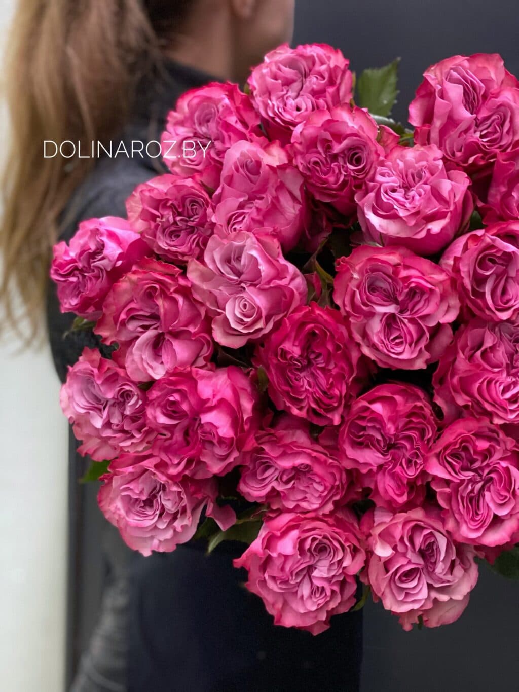 Rosa Country Blues Ecuador | DolinaRoz