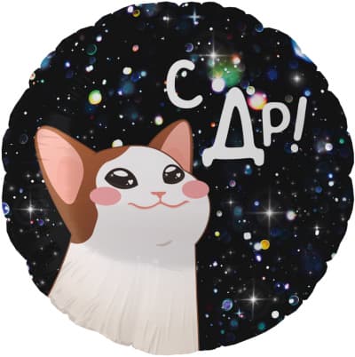 Фольгированный шар "Круг, С ДР! (котик)"