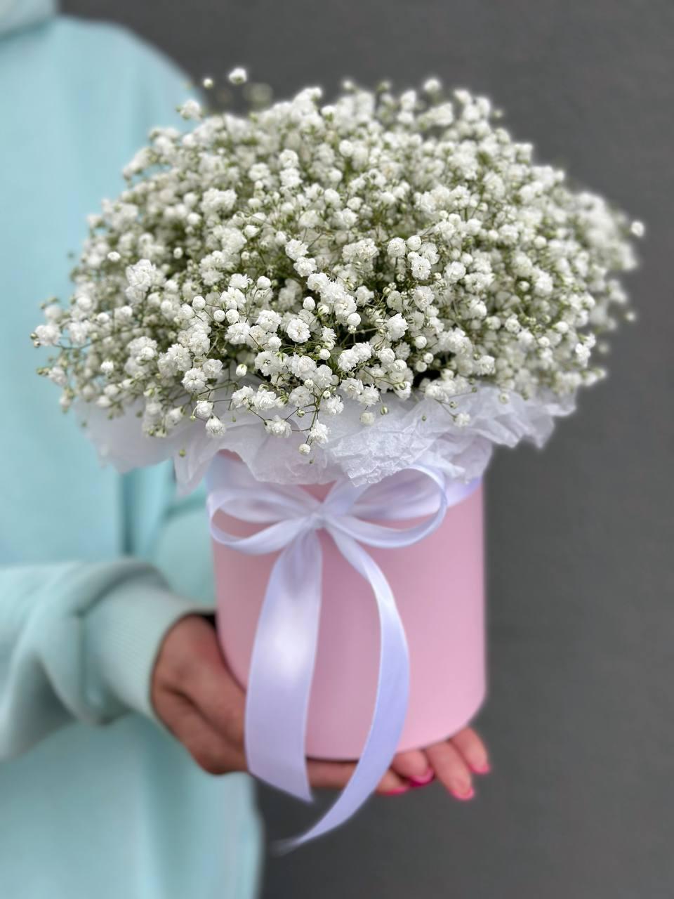 Box of gypsophila "White in pink"