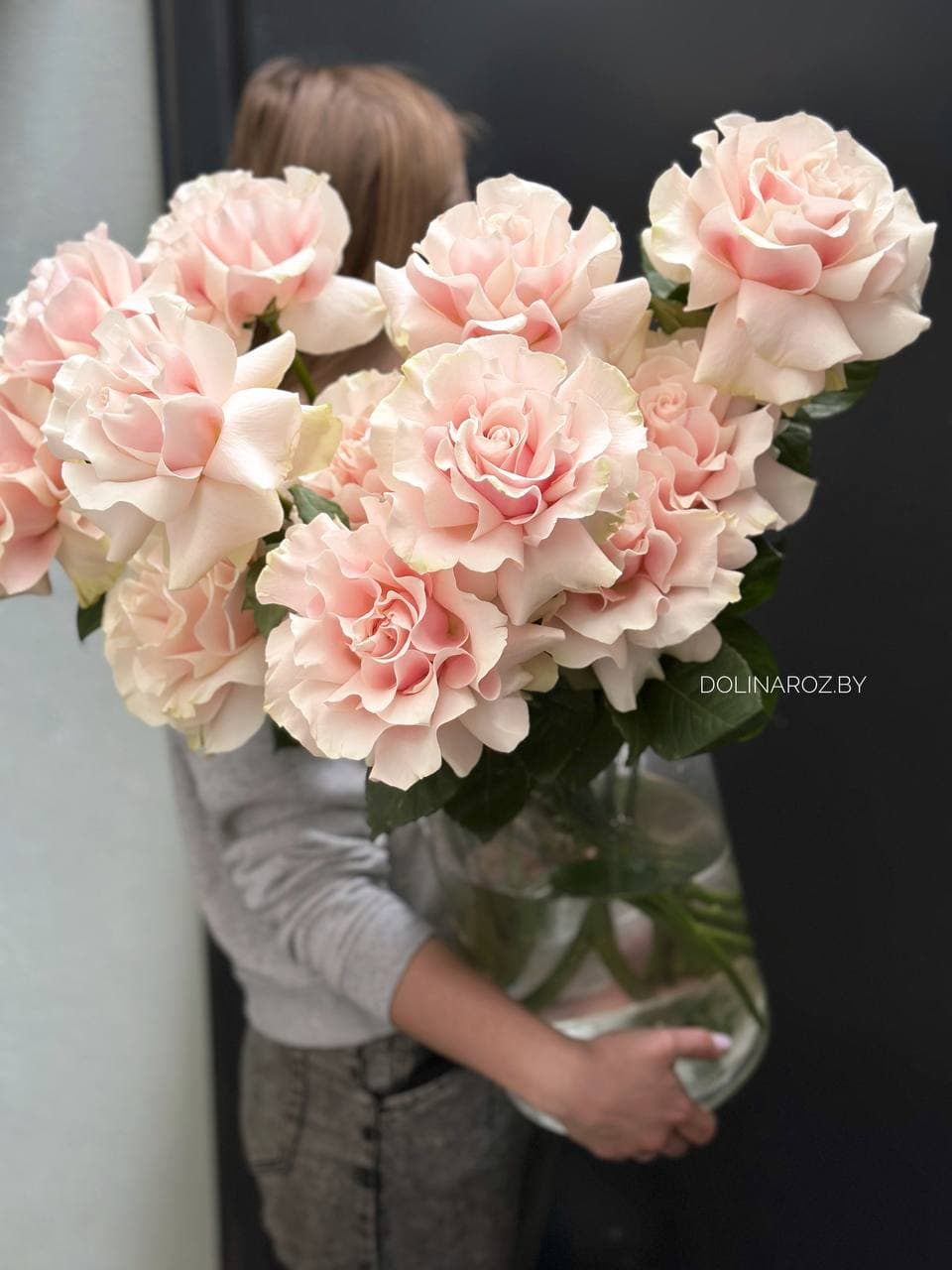 "French" rose (light pink)