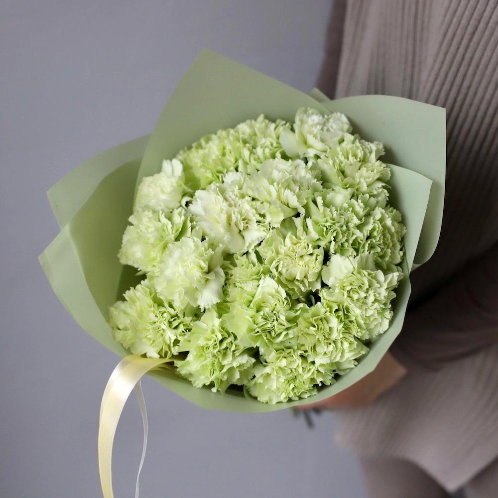 Green carnation (dianthus)