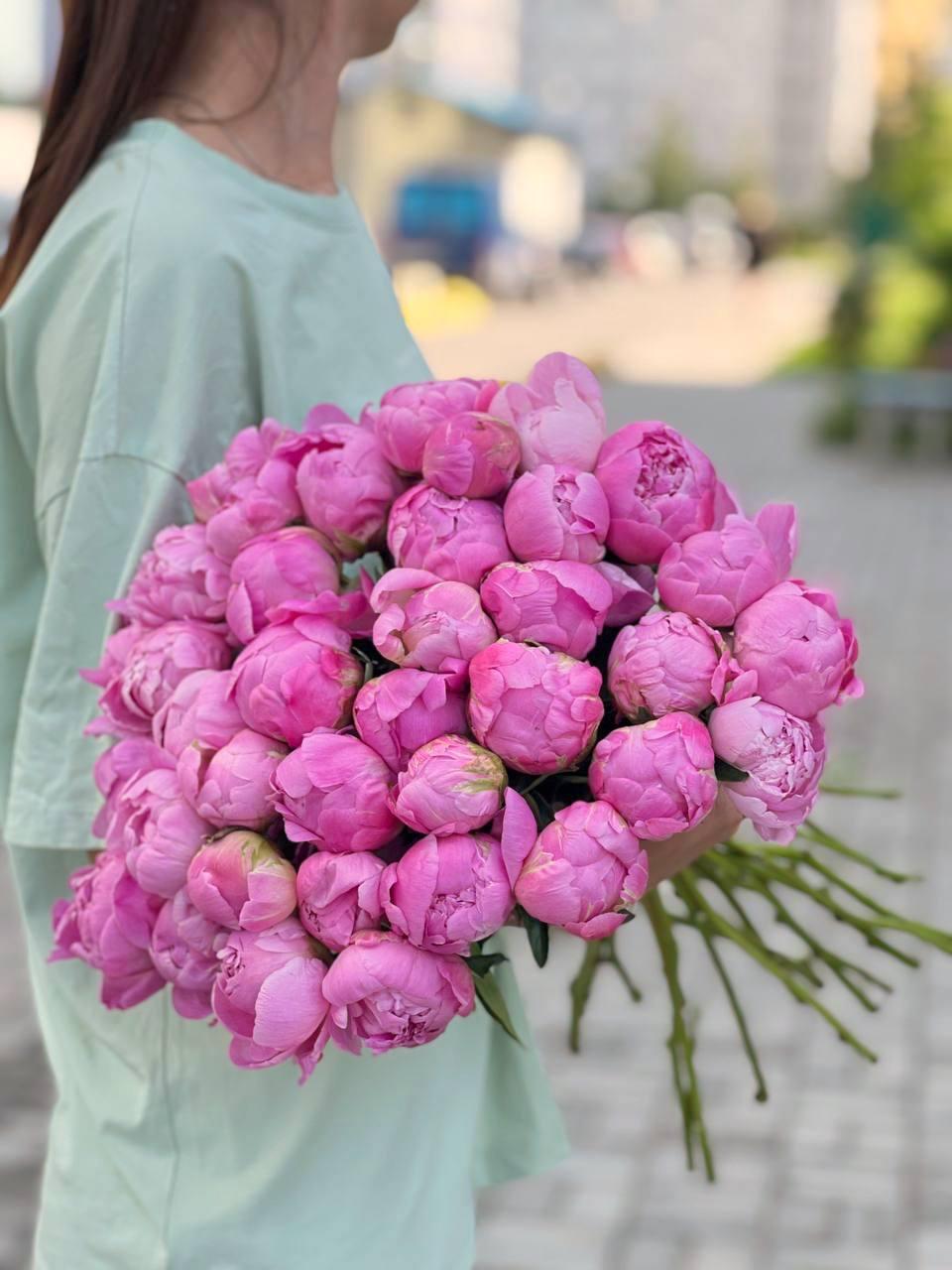 Peony Jacorma