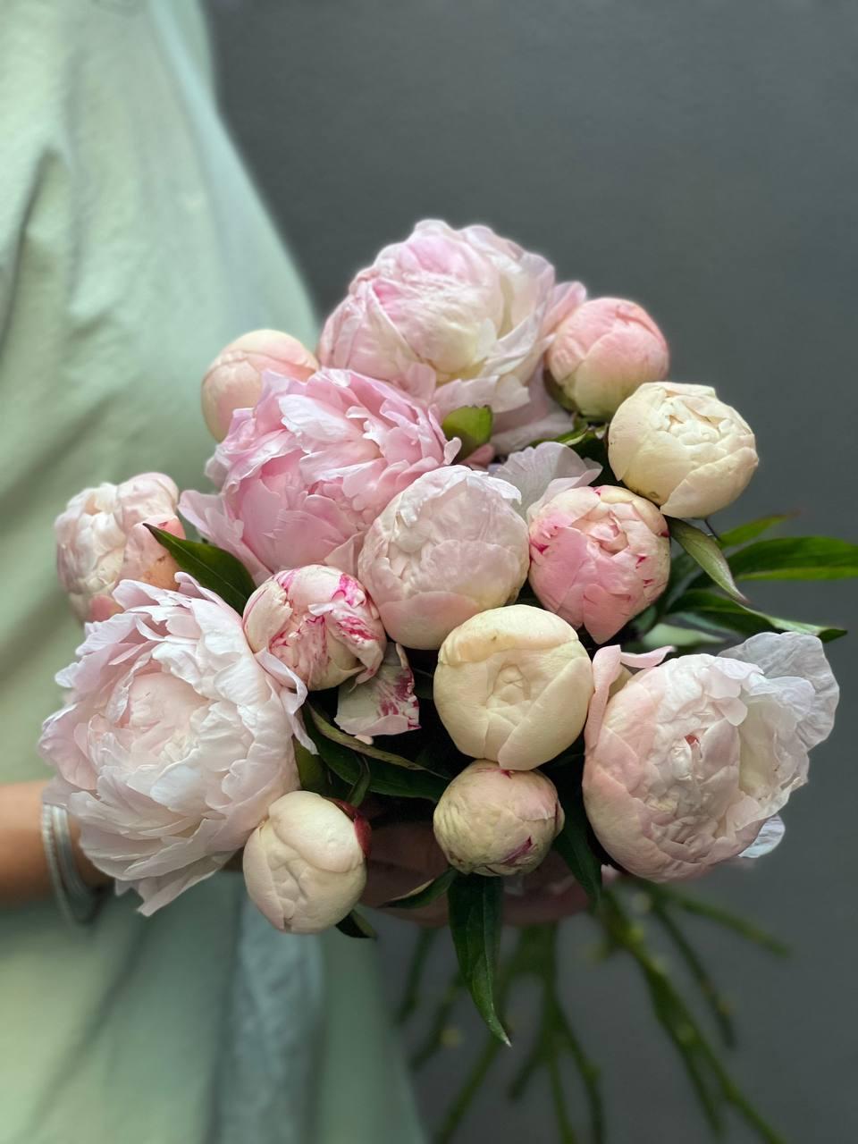 Peony Nancy Nora