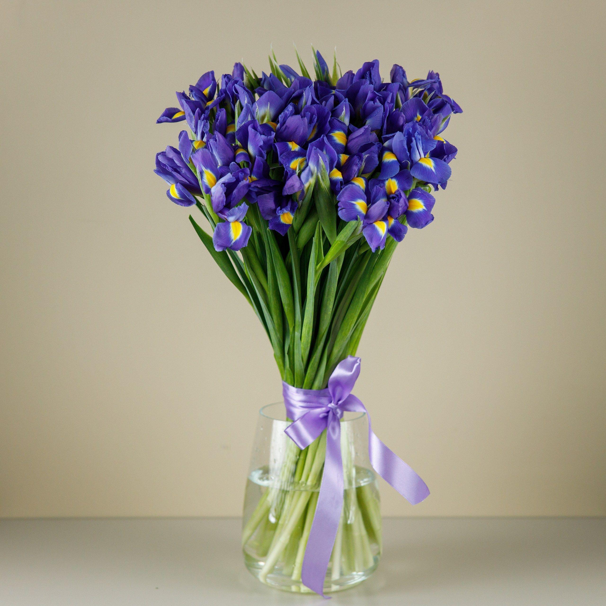 Bouquet of irises "Diana"