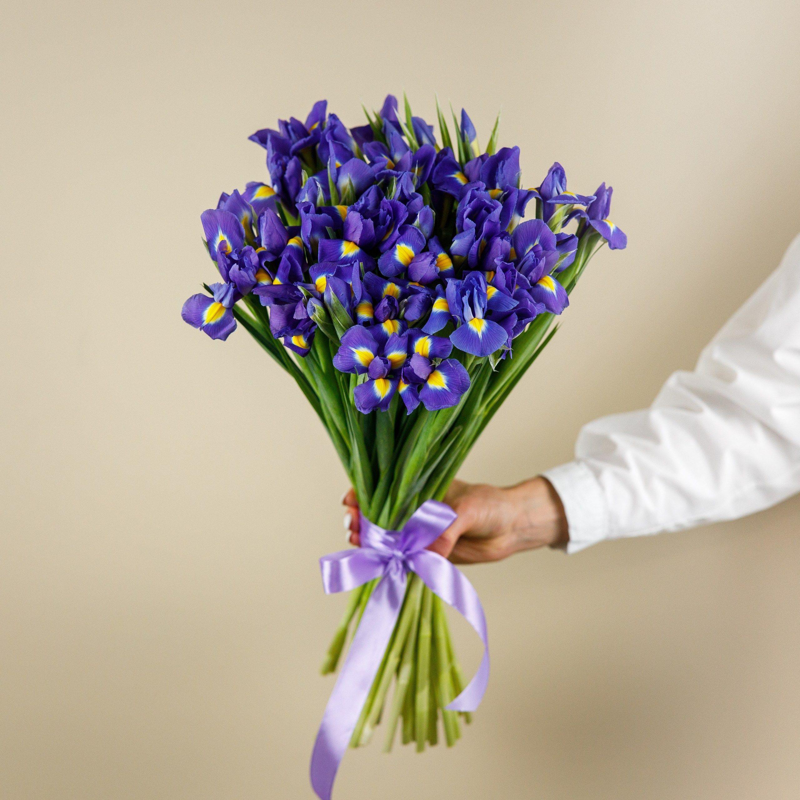 Bouquet of irises "Diana"