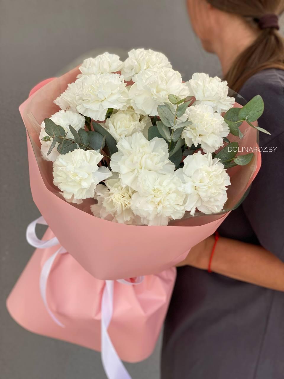 Bouquet of carnations "Awakening"