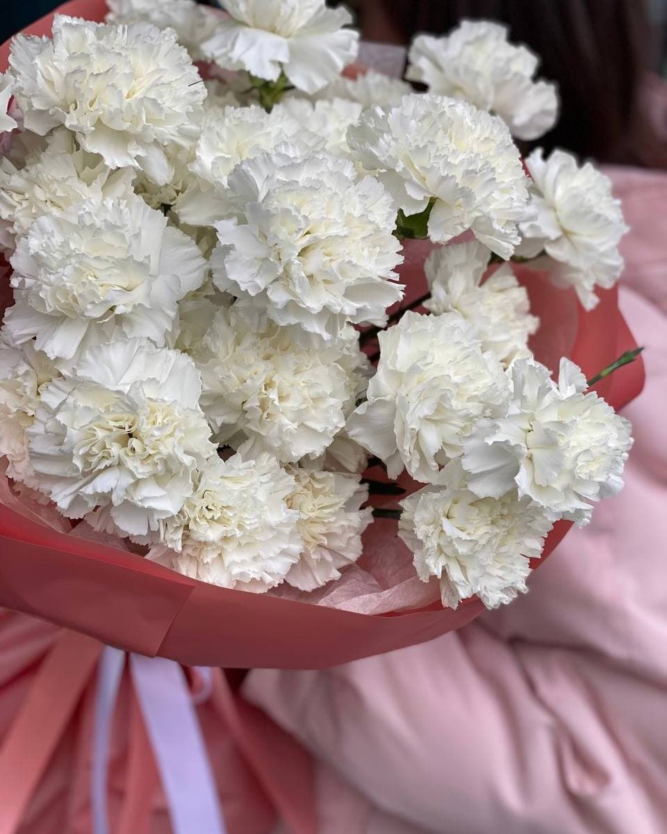 Букет гвоздик "Летай"