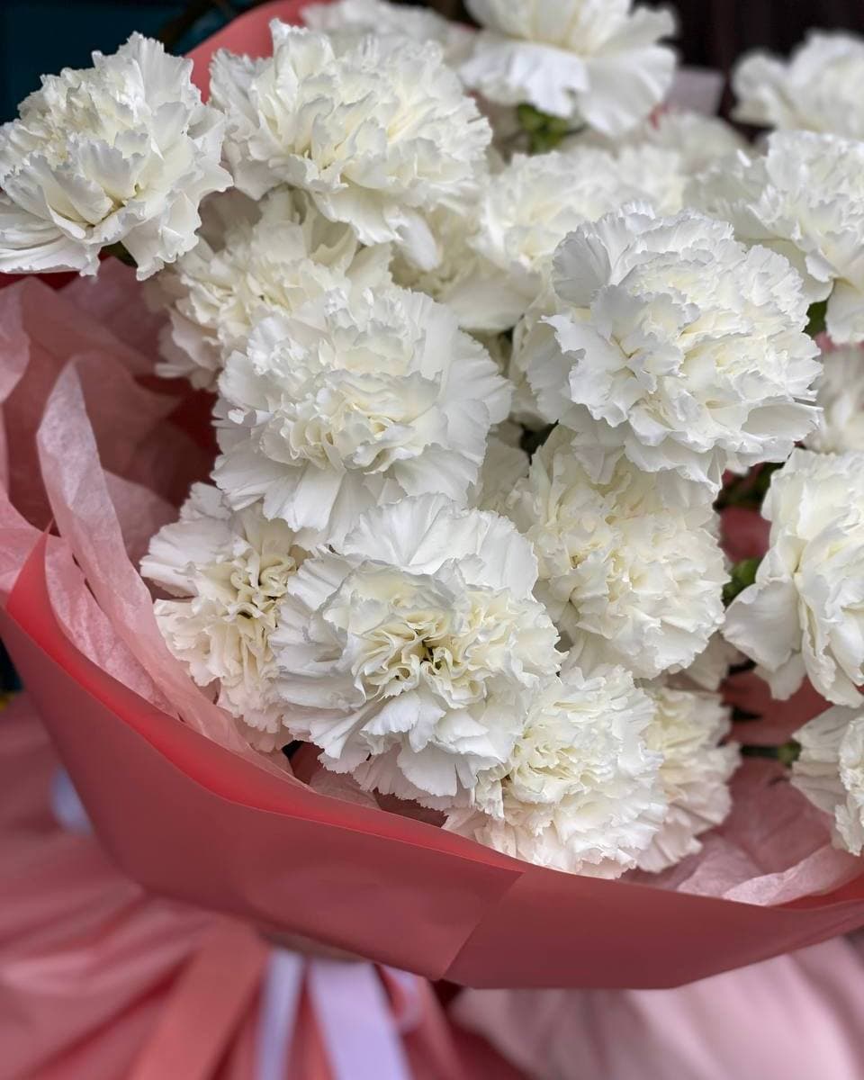 Букет гвоздик "Летай"