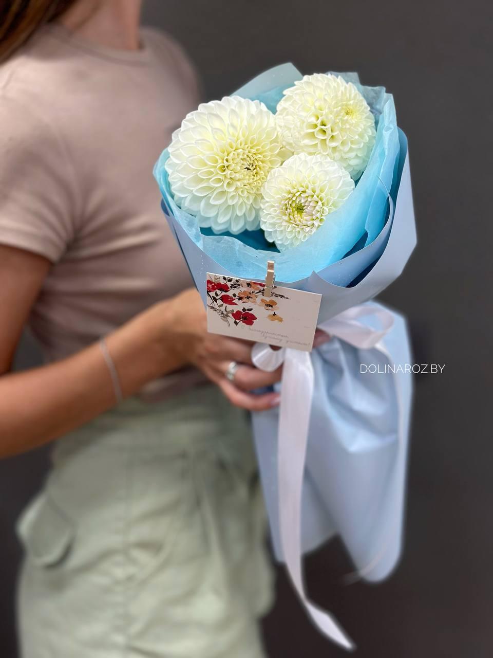 Bouquet of dahlias "Transparent water"