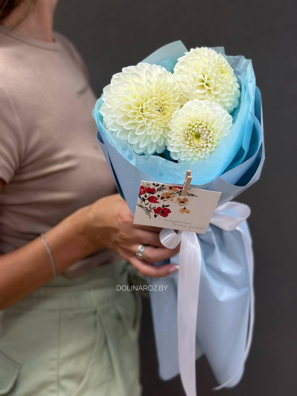 Bouquet of dahlias "Transparent water"