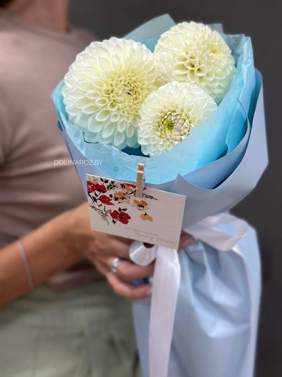 Bouquet of dahlias "Transparent water"