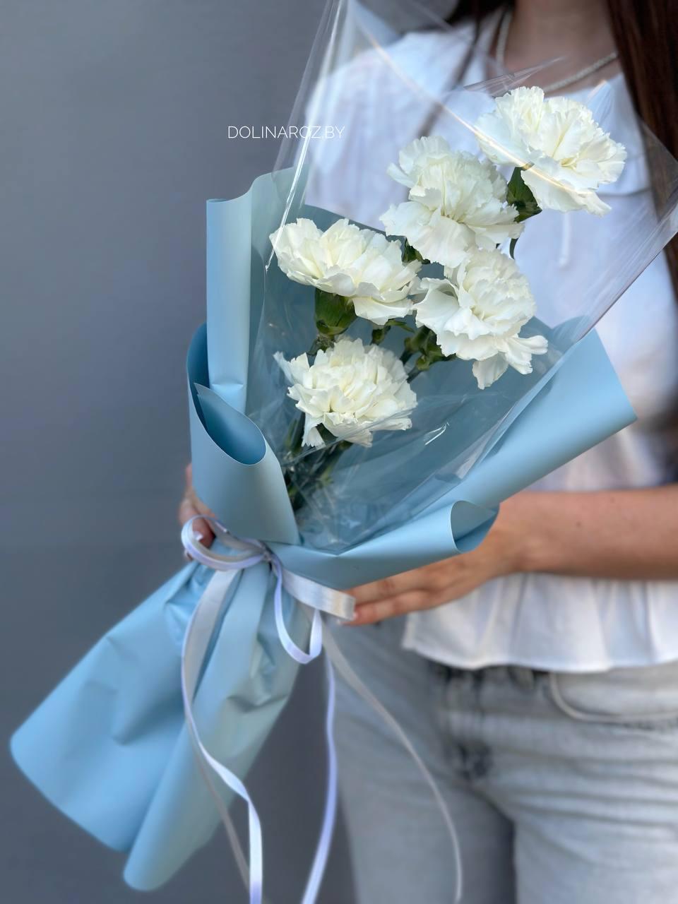 Bouquet of carnations "Adagio"