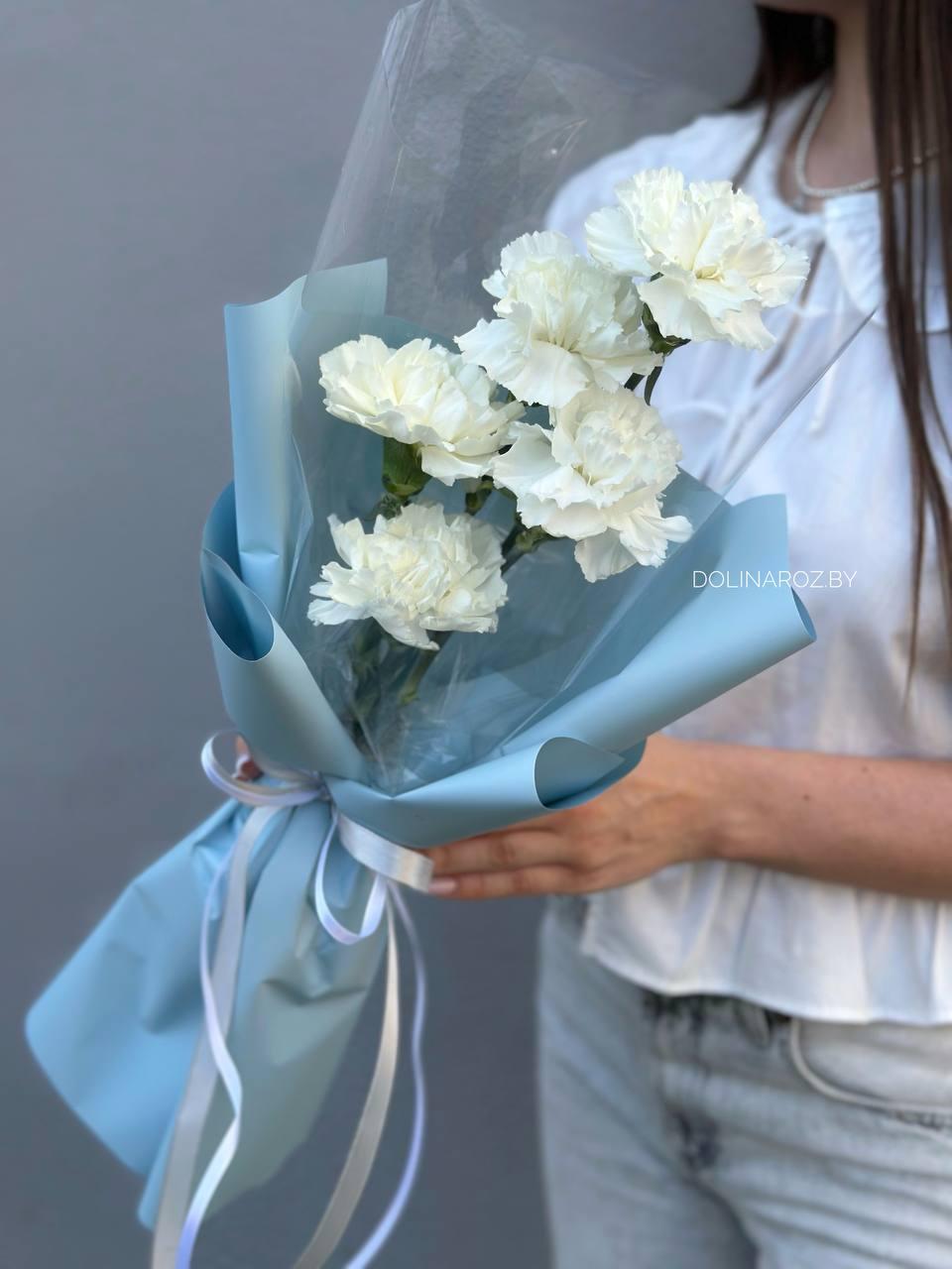 Bouquet of carnations "Adagio"