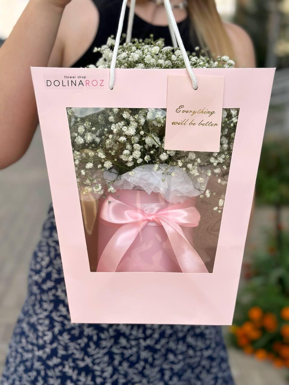 Box of gypsophila "White in pink"