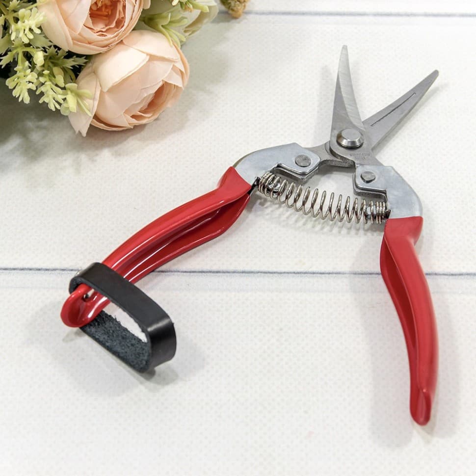 Секатор (разные цвета)