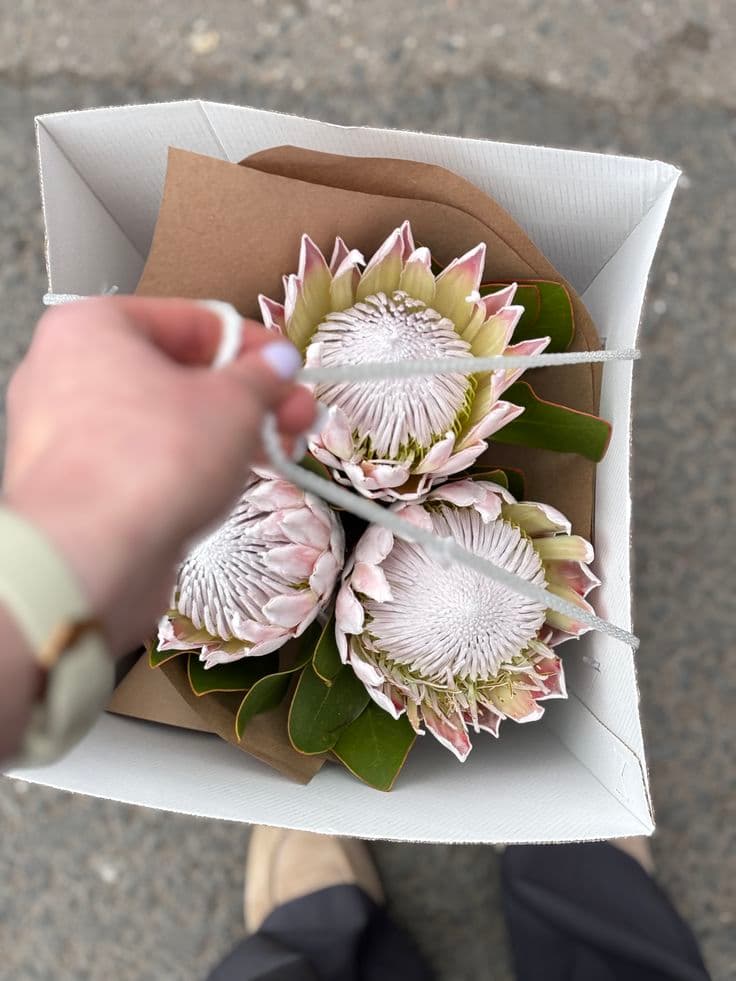 Букет протей "Изюминка"