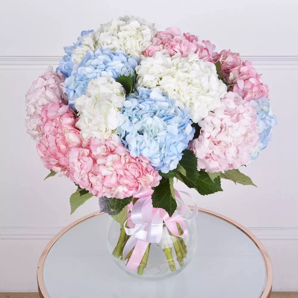 Гортензия (Колумбия)