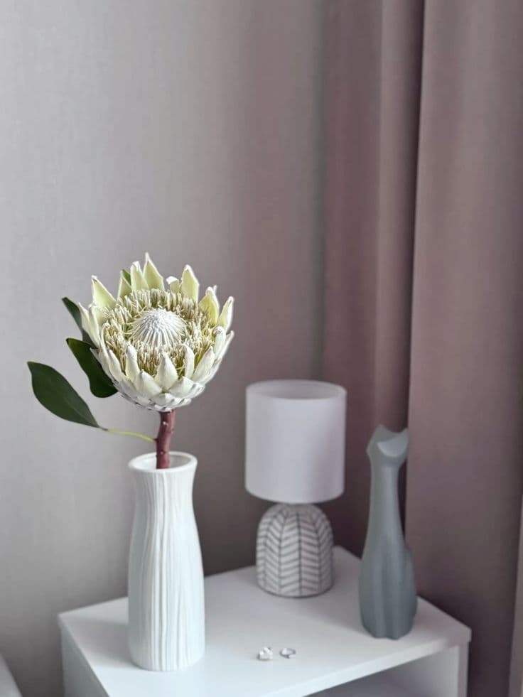 Протея белая