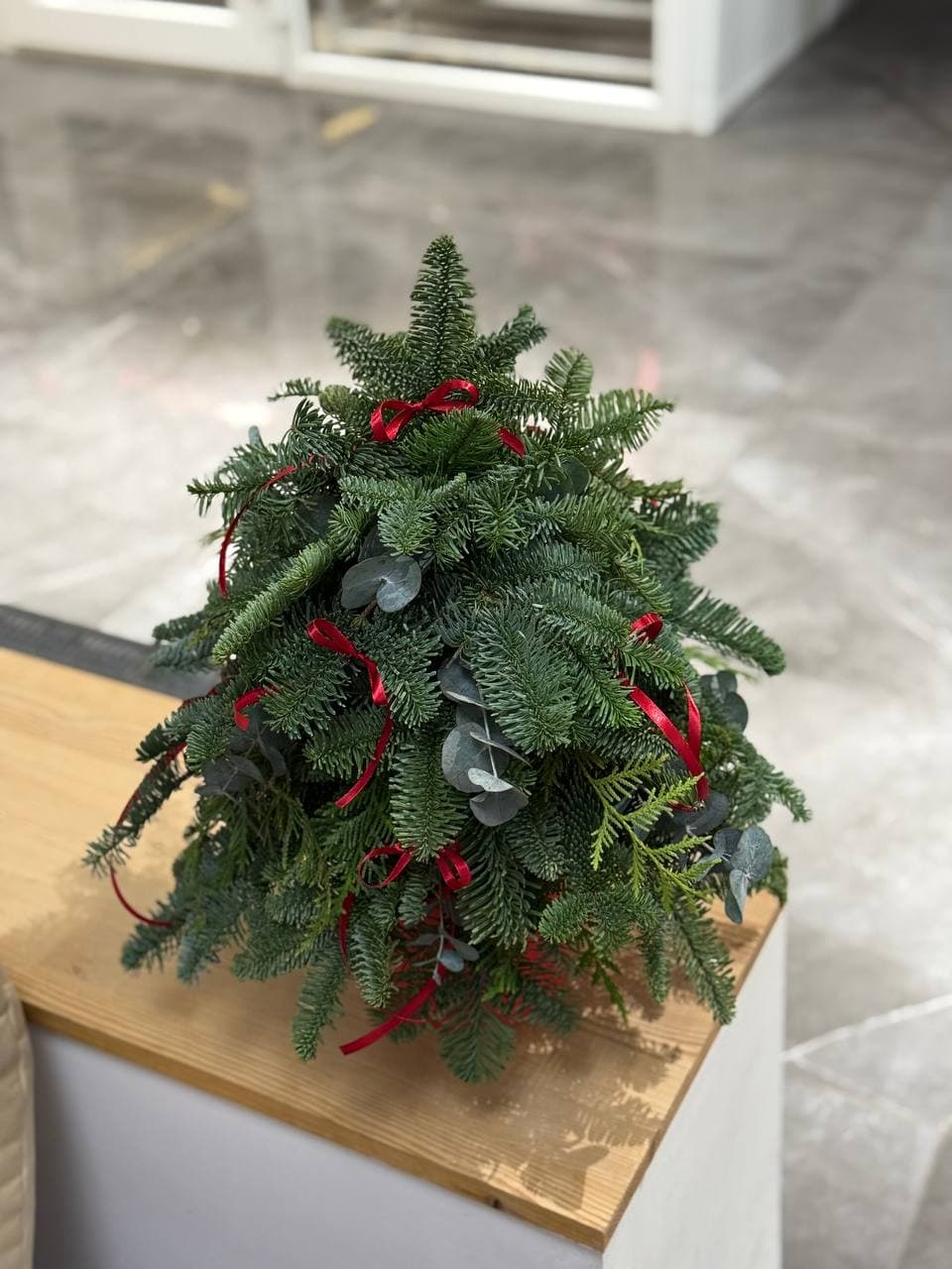 Елка из нобилиса №3