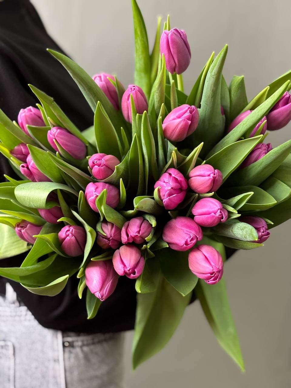 Тюльпан сиреневый